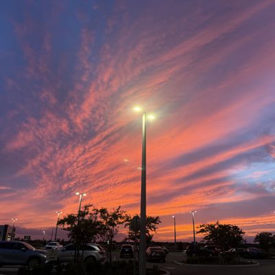 Rootsman Signal's avatar - a street lights in a parking lot