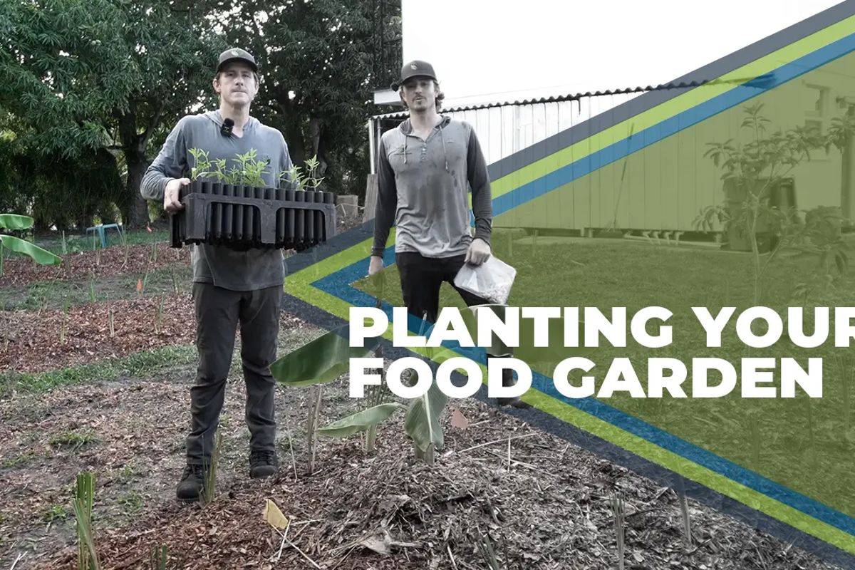 IGV_Planting_your_food_garden.webp