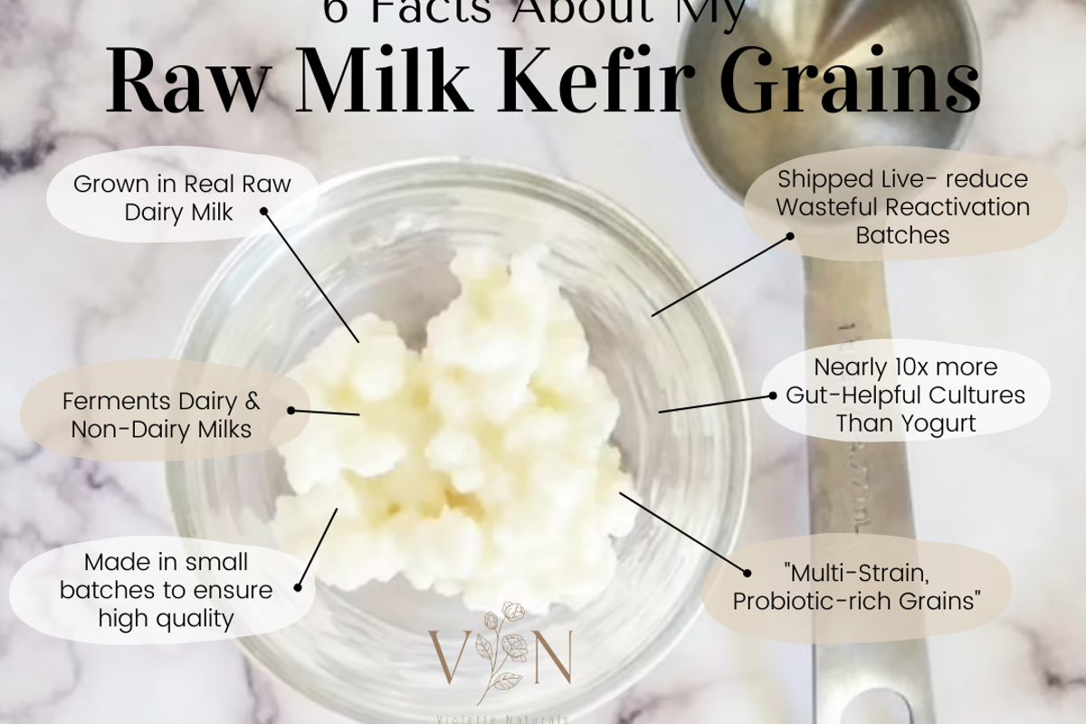 OTL Etsy Listing Infographic Milk Kefir 6 standout qualities of my grains to competitors.png