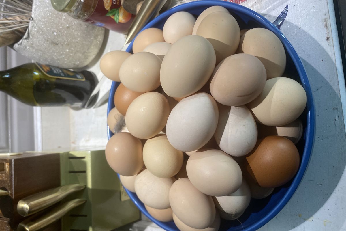a bowl of eggs on a counter