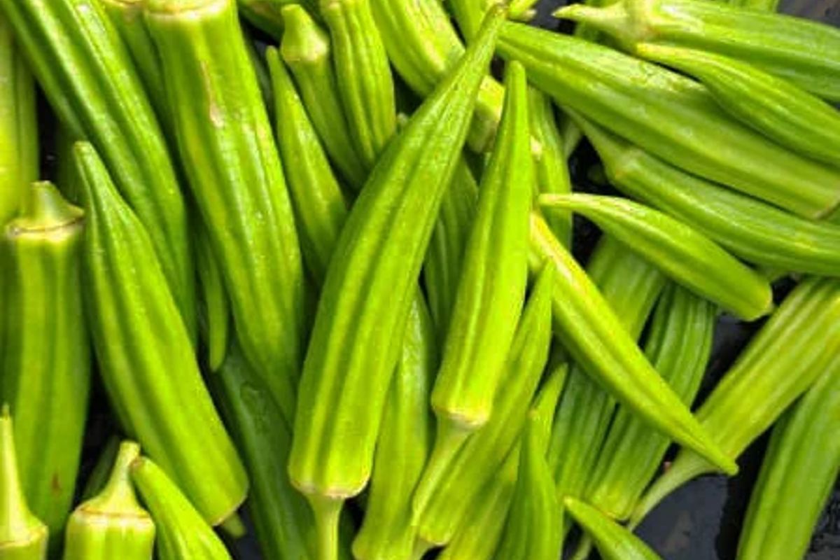 a group of green vegetables
