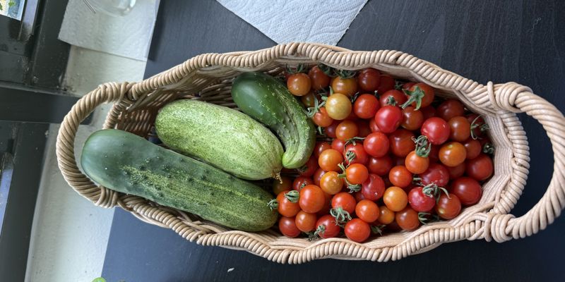 a basket of vegetables on a table