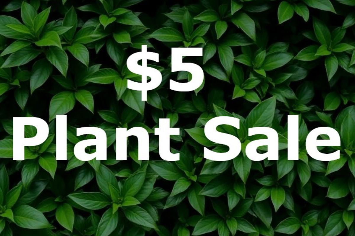 $5 Plant sale.jpg