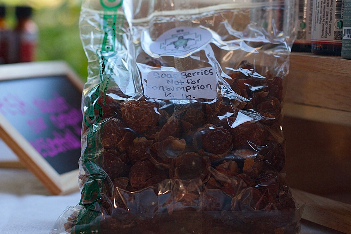 soap berries our bags.png