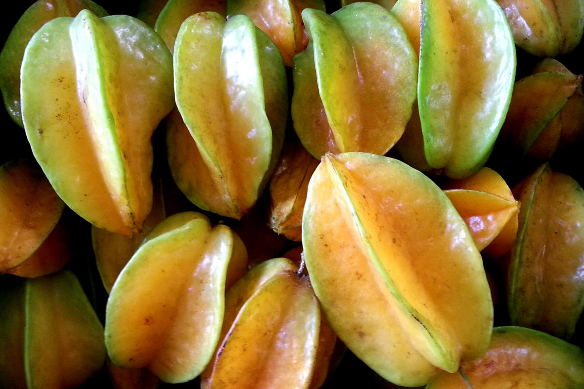 Carambola harvest -c (2).jpg