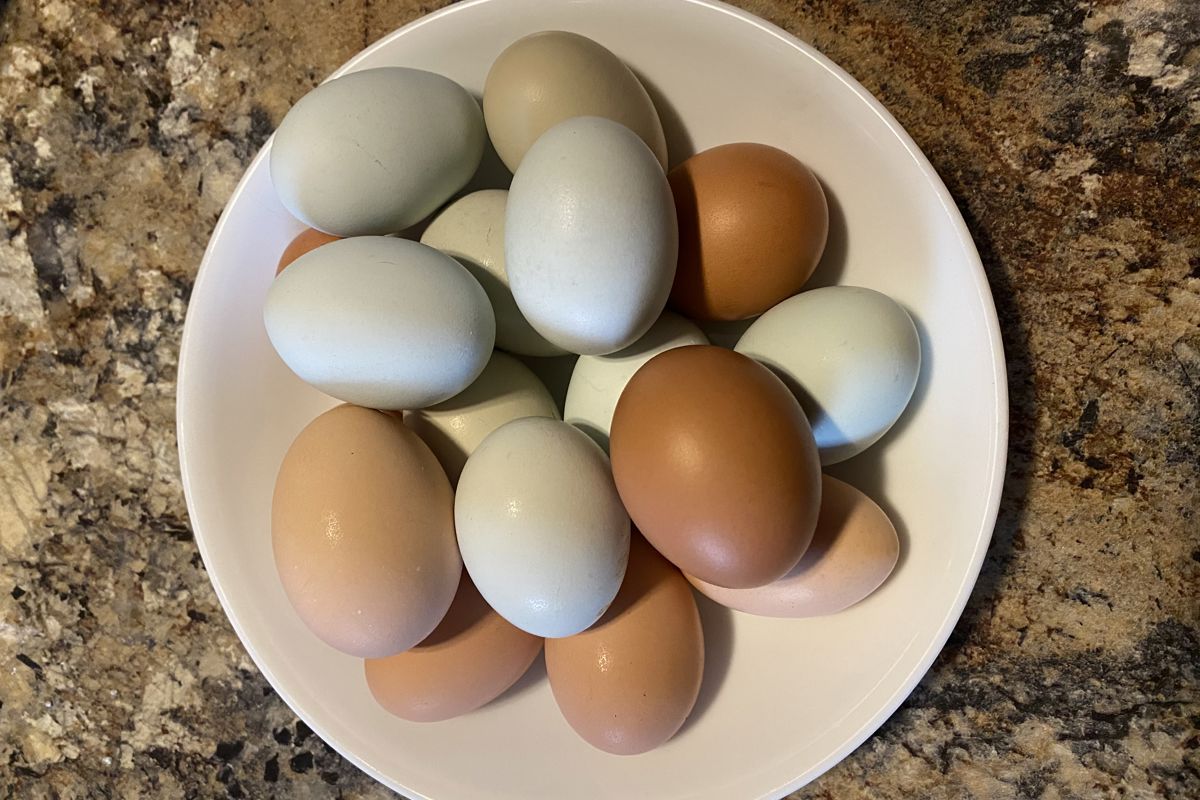 a plate of eggs on a marbled surface