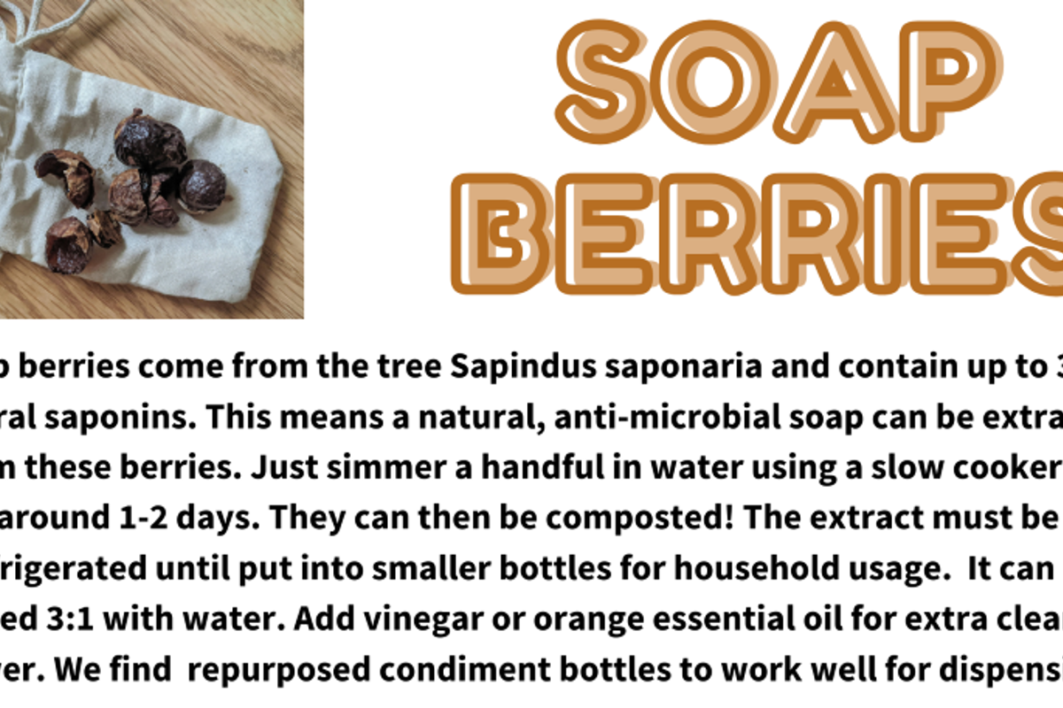 Soap Berries 2.png