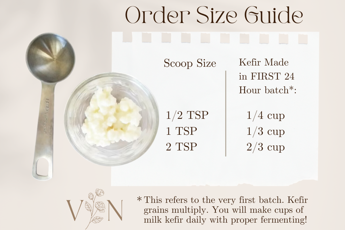 Kefir Grain order size guide for OTL.png