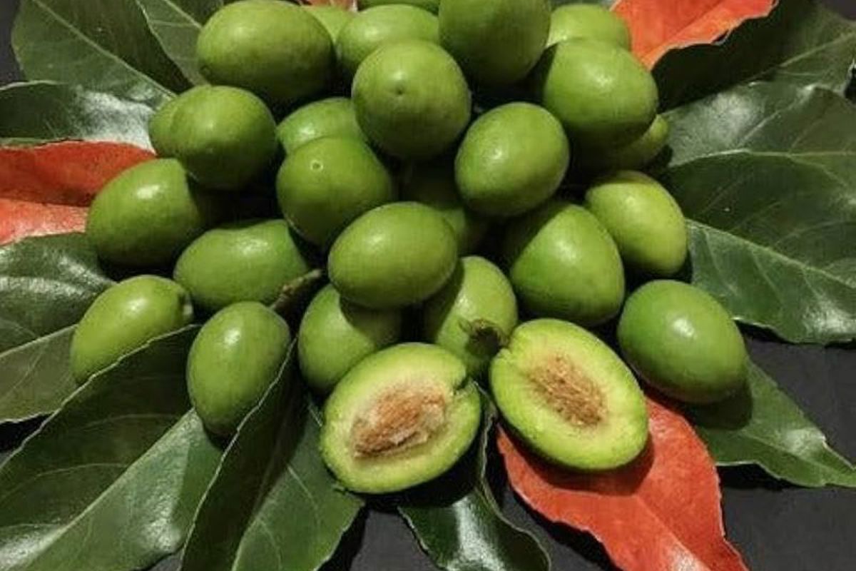 a group of green fruits with leaves