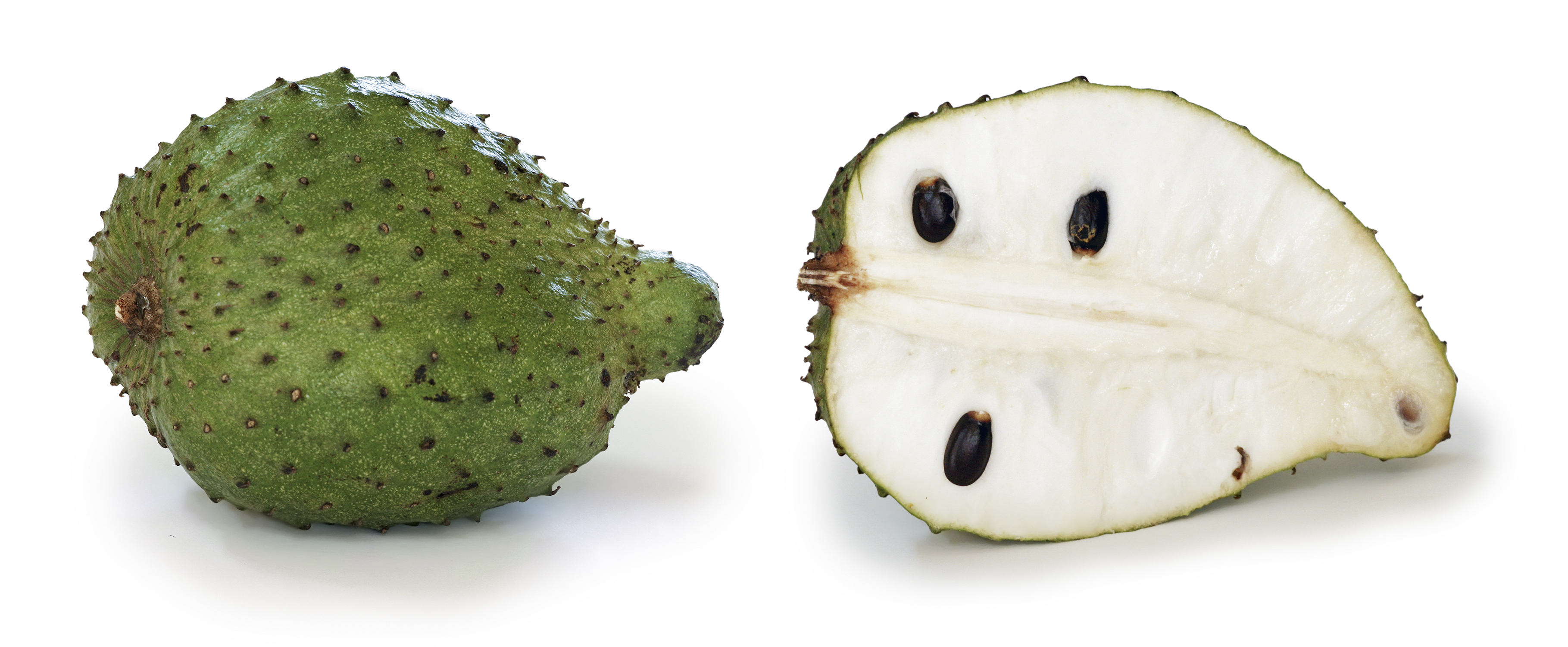 Soursop,_Annona_muricata.jpg