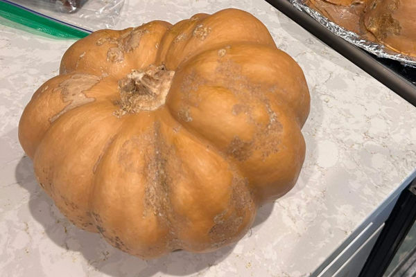 a pumpkin on a counter